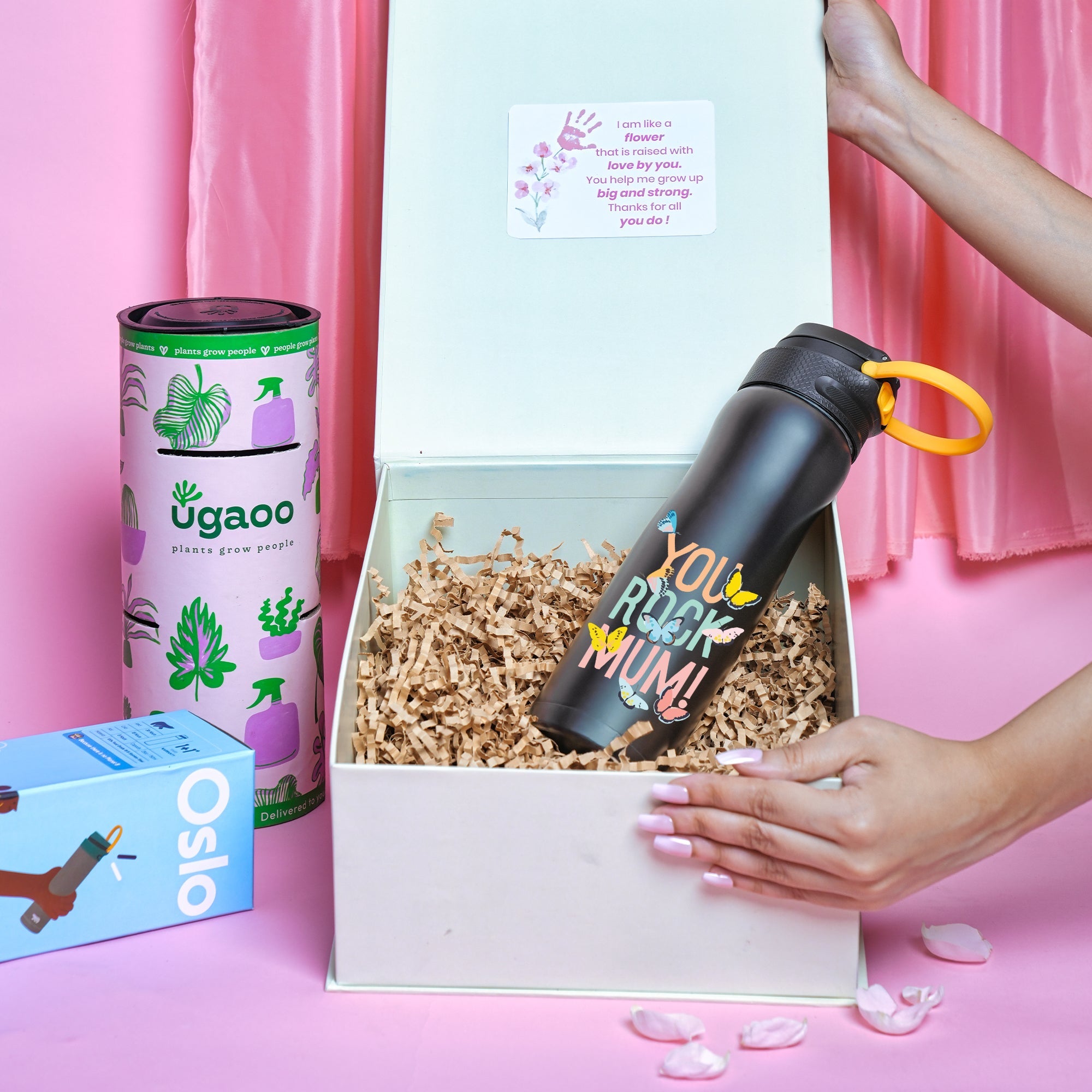 Chic Garden Hamper