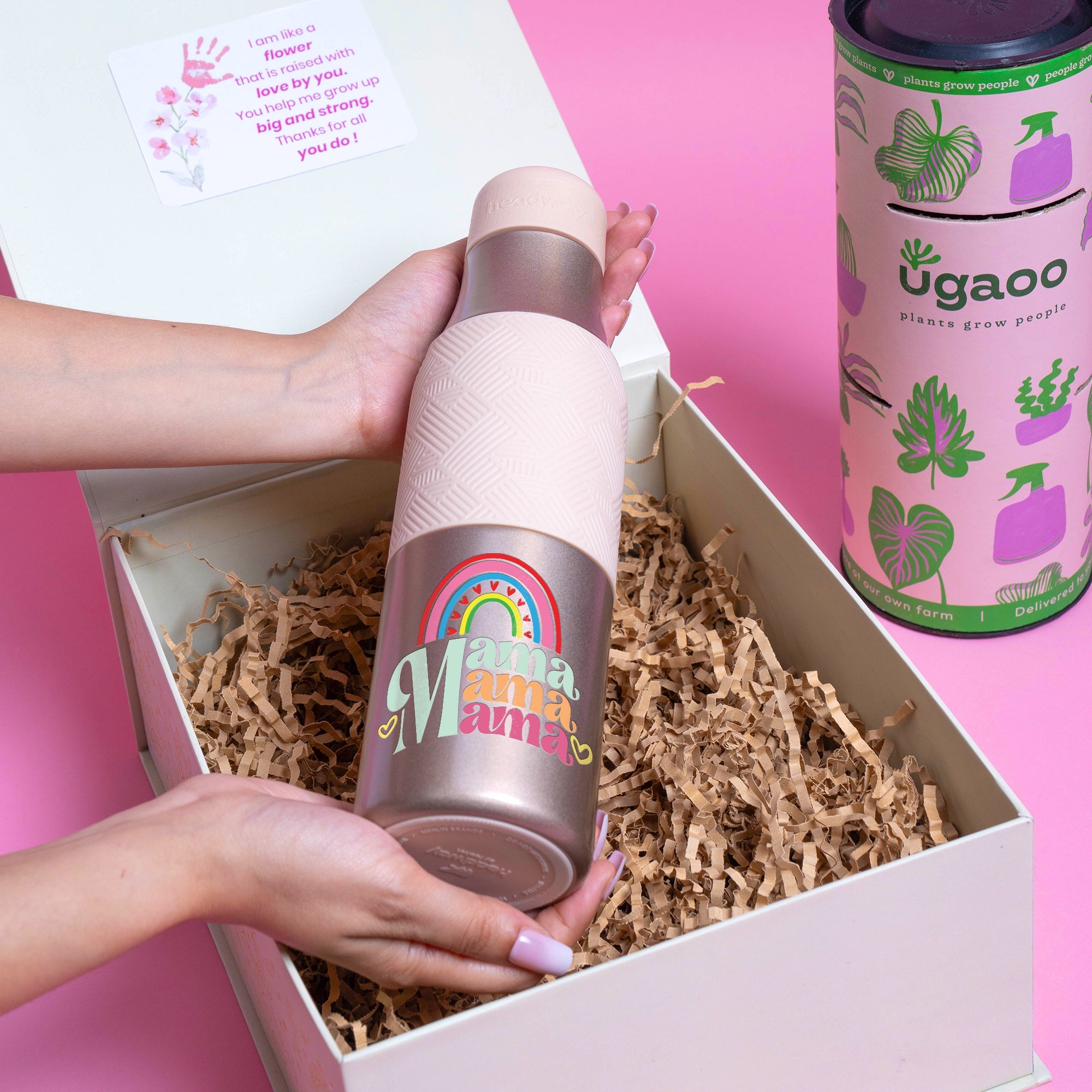 Bloom & Sip Hamper